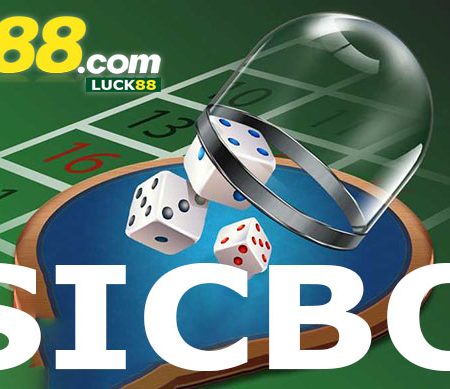 Sicbo – Luật chơi Sicbo cơ bản dành cho người mới